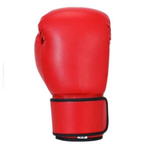14oz Boxing Gloves